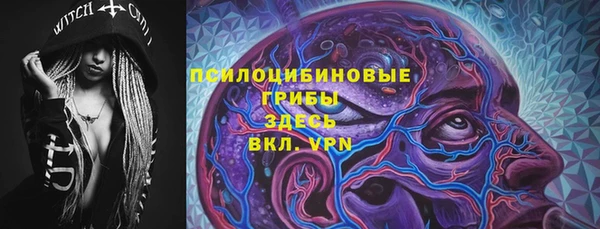 PSILOCYBIN Белоозёрский